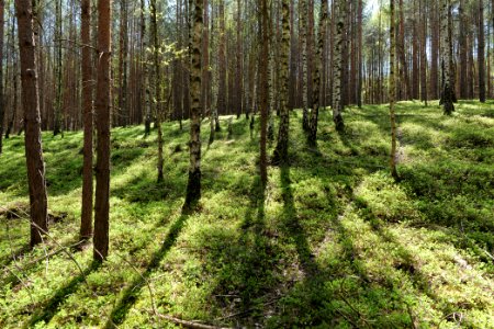 Baruther Urstromtal und Luckenwalder Heide 2021-05-09 144