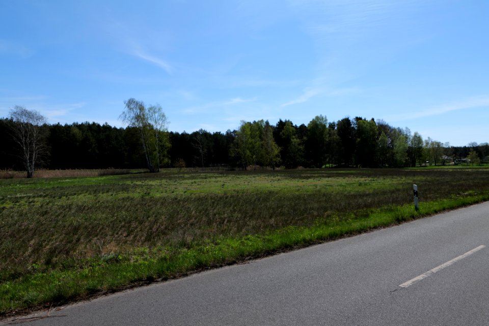 Baruther Urstromtal und Luckenwalder Heide 2021-05-09 36