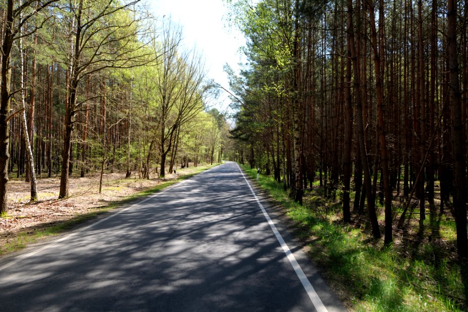 Baruther Urstromtal und Luckenwalder Heide 2021-05-09 76