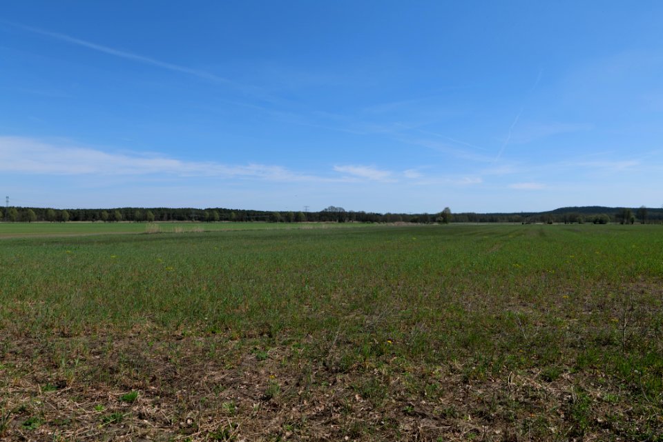 Baruther Urstromtal und Luckenwalder Heide 2021-05-09 68