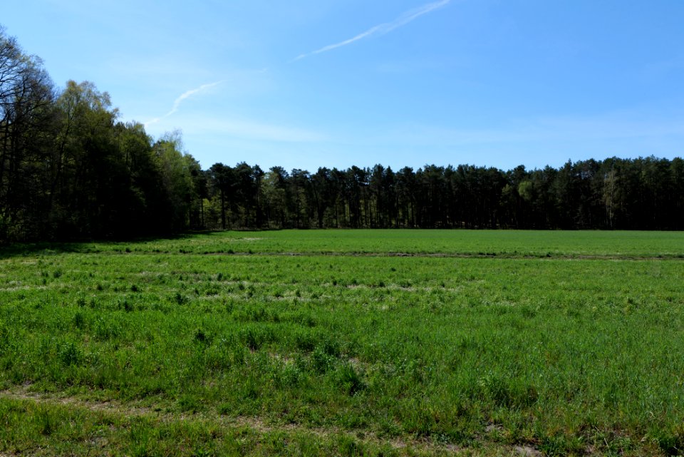 Baruther Urstromtal und Luckenwalder Heide 2021-05-09 66