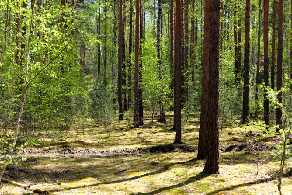 Baruther Urstromtal und Luckenwalder Heide 2021-05-09 88
