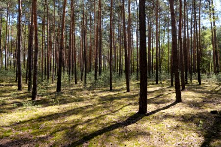 Baruther Urstromtal und Luckenwalder Heide 2021-05-09 81