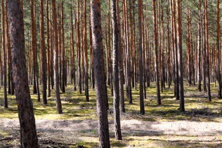 Baruther Urstromtal und Luckenwalder Heide 2021-05-09 60
