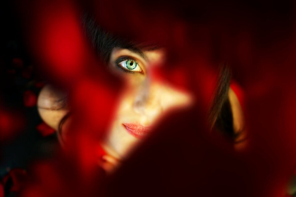 Love portrait red roses