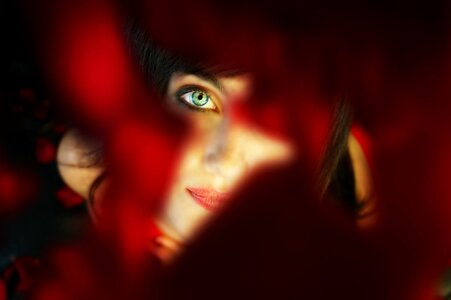 Love portrait red roses