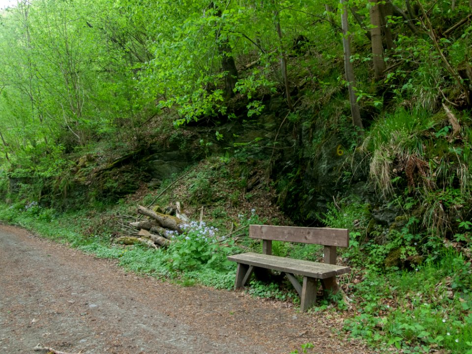 Bank Bodeweg Wendefurth-Altenbrak