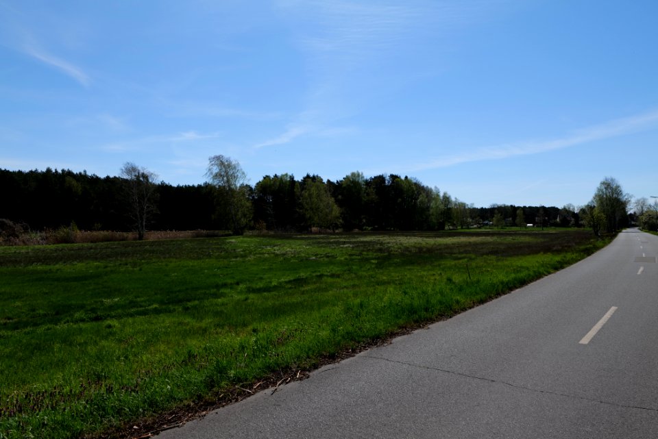 Baruther Urstromtal und Luckenwalder Heide 2021-05-09 26