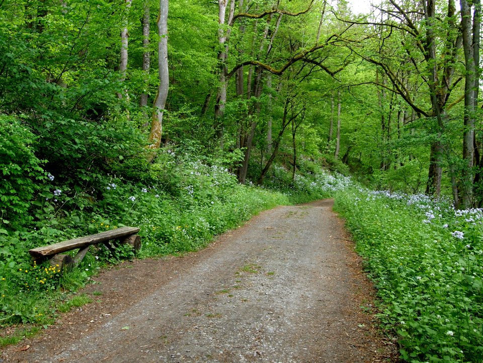 Bank Bodeweg Wendefurth-Altenbrak (3)