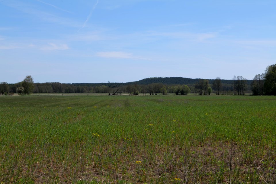 Baruther Urstromtal und Luckenwalder Heide 2021-05-09 74