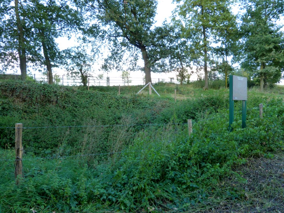 Banholtergrubbe (1)