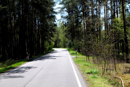 Baruther Urstromtal und Luckenwalder Heide 2021-05-09 61
