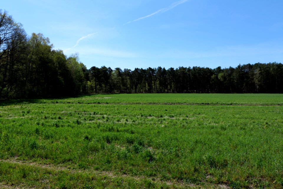 Baruther Urstromtal und Luckenwalder Heide 2021-05-09 63