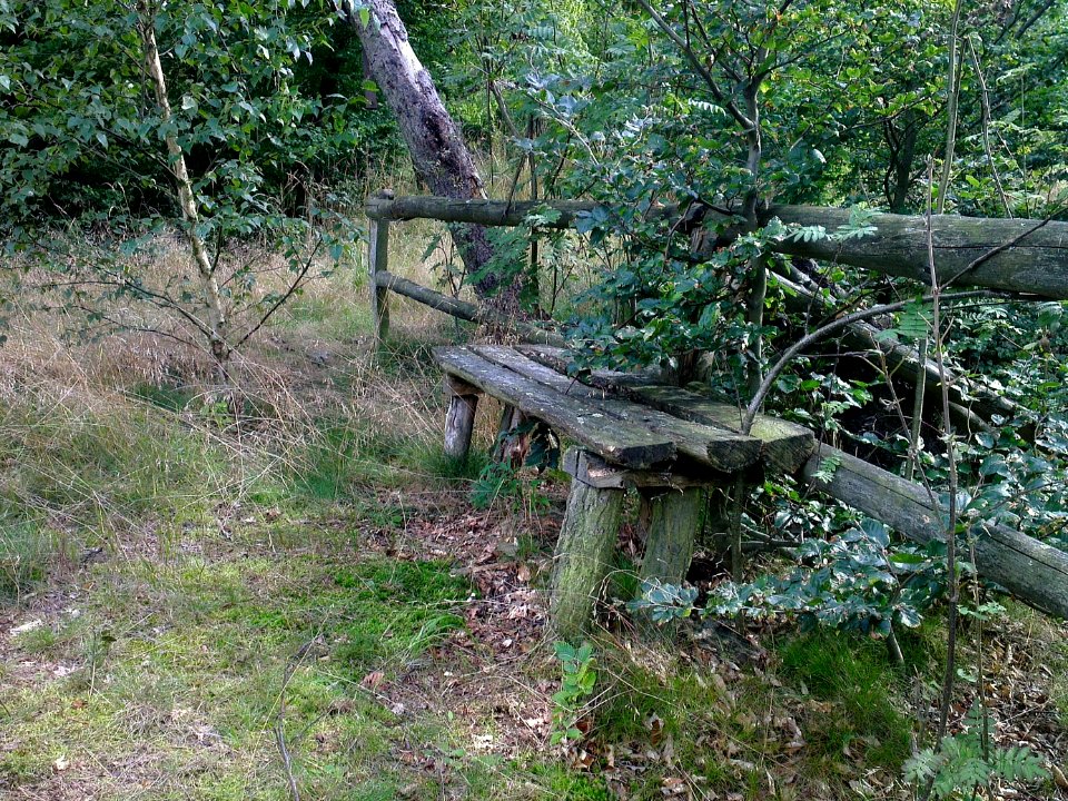 Bank Falkenklippe Treseburg