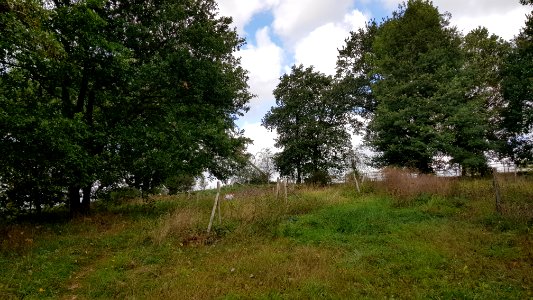 Banholt-Groeve Banholtergrubbe (13)
