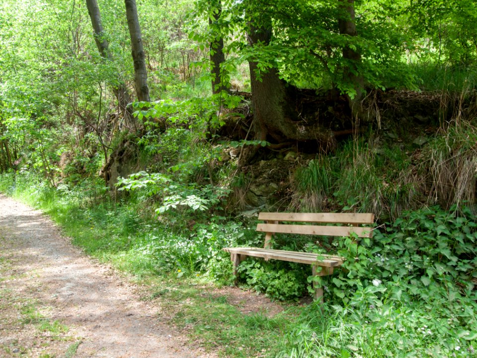 Bank grosses Muehlental