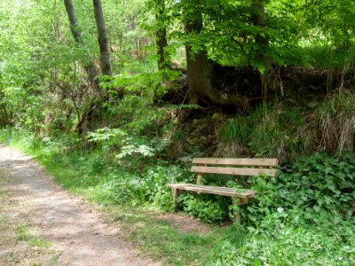 Bank grosses Muehlental