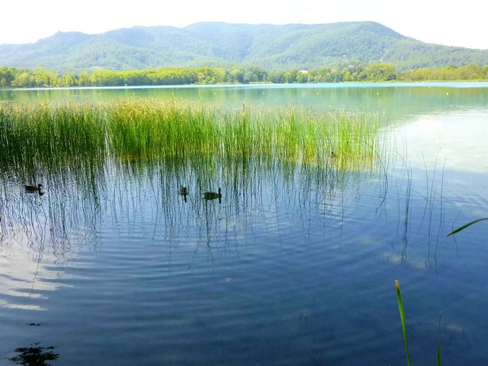 Banyoles - Lago de Bañolas 04