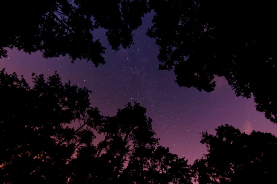 Silhouette sky stars
