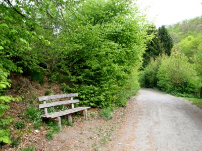 Bank Bodeweg Wendefurth-Altenbrak (5)