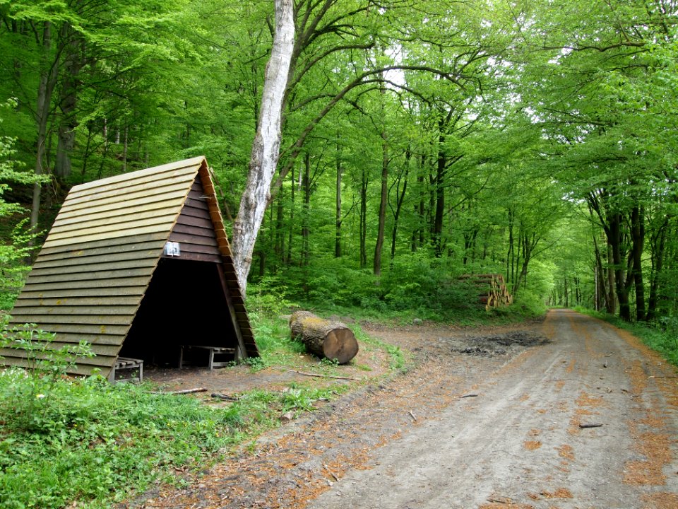 Bank Bodeweg Wendefurth-Altenbrak (4)