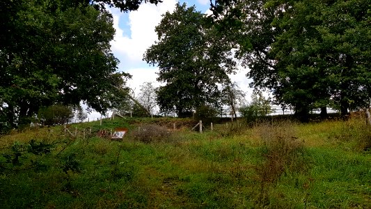 Banholt-Groeve Banholtergrubbe (12)