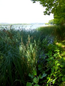 Banyoles - Lago de Bañolas 02