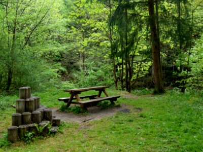 Bank Bodeweg Wendefurth-Altenbrak (2)