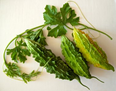 Bangladeshi bitter melon