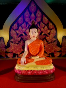 Bangkok Vesak - 2017-05-07 (039)