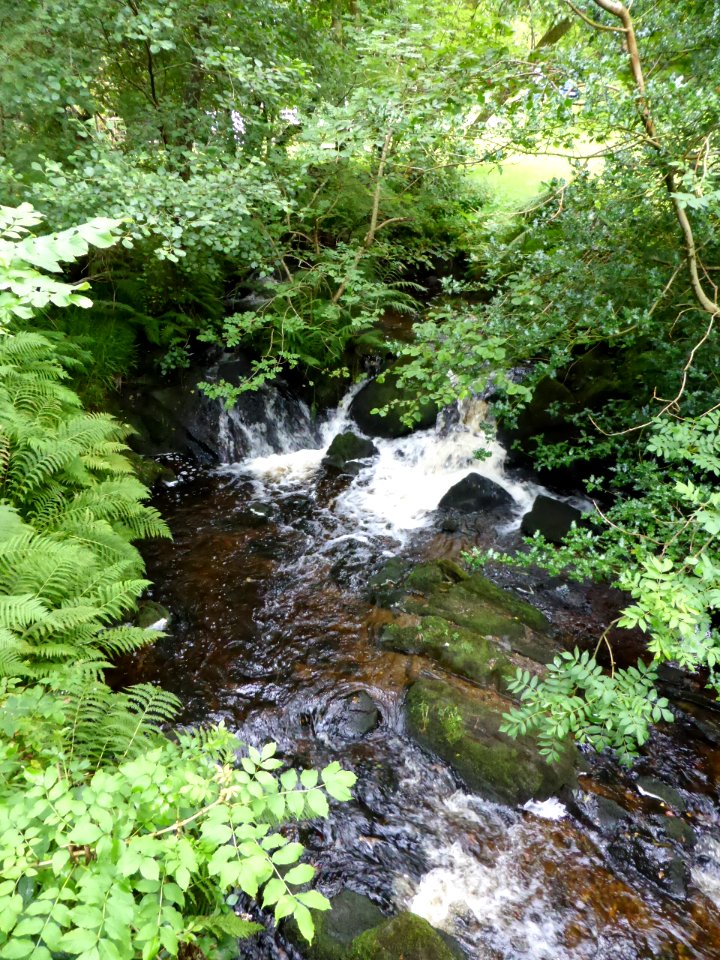 Balmaha-Inversnaid-4