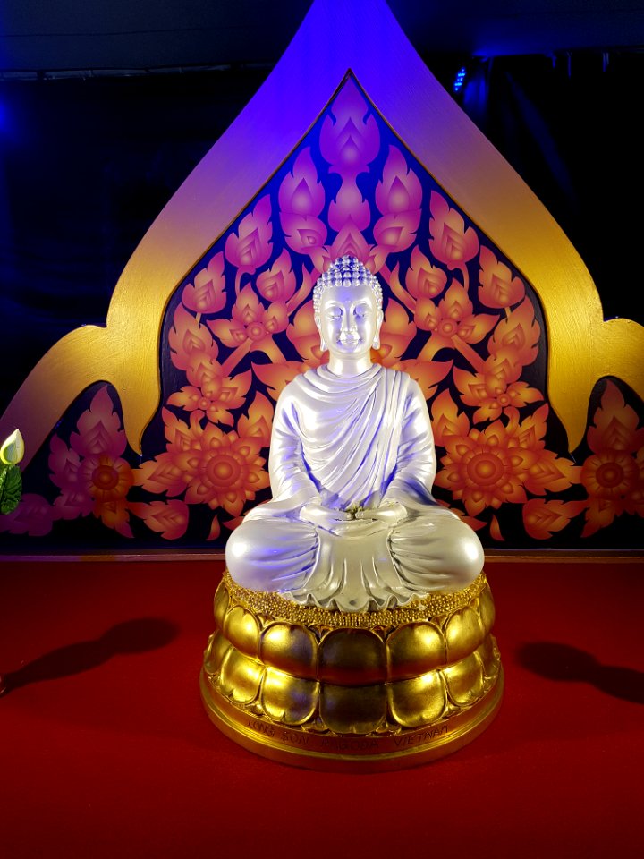 Bangkok Vesak - 2017-05-07 (034)