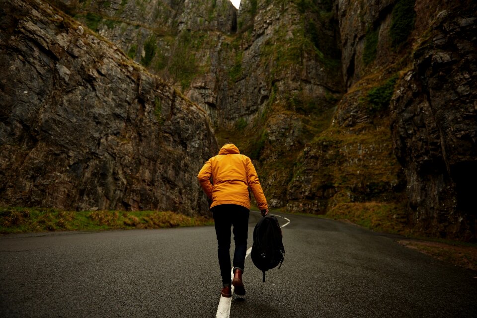 Walking hiking brown alone