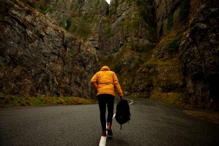 Walking hiking brown alone