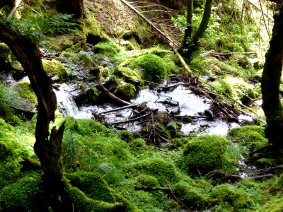 Balmaha-Inversnaid-23