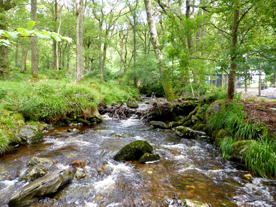 Balmaha-Inversnaid-19