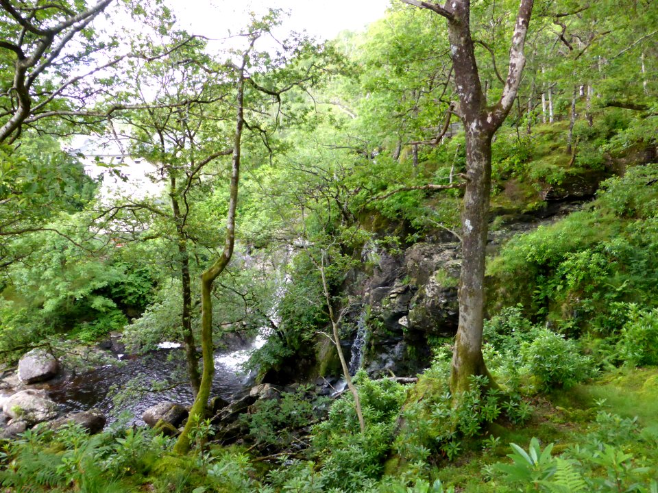 Balmaha-Inversnaid-34