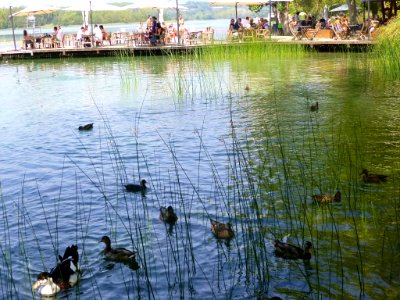 Banyoles - Lago de Bañolas 09