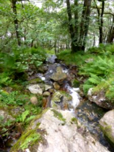 Balmaha-Inversnaid-29