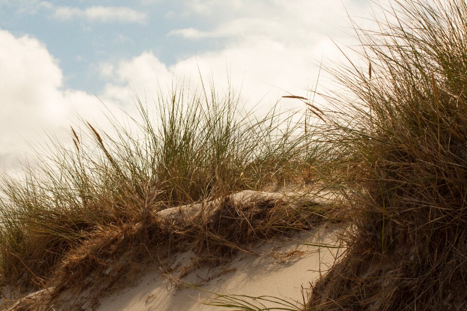 Amrum sand dune clouds