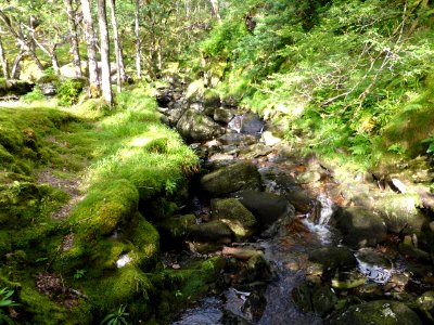 Balmaha-Inversnaid-36