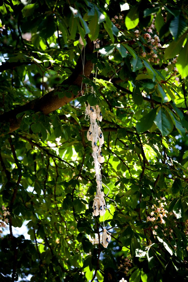 Balloon remains in a chestnut tree IMG 3374 edit