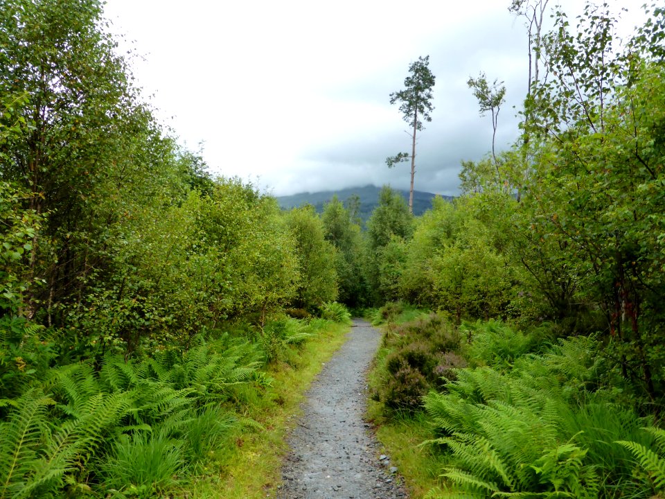 Balmaha-Inversnaid-2