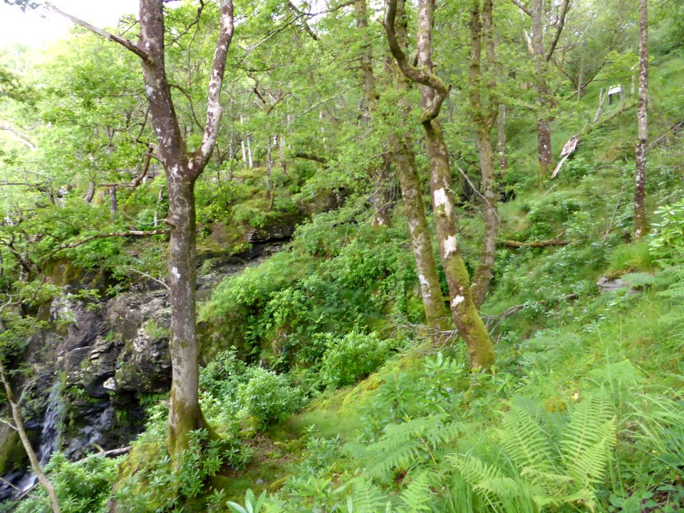 Balmaha-Inversnaid-35