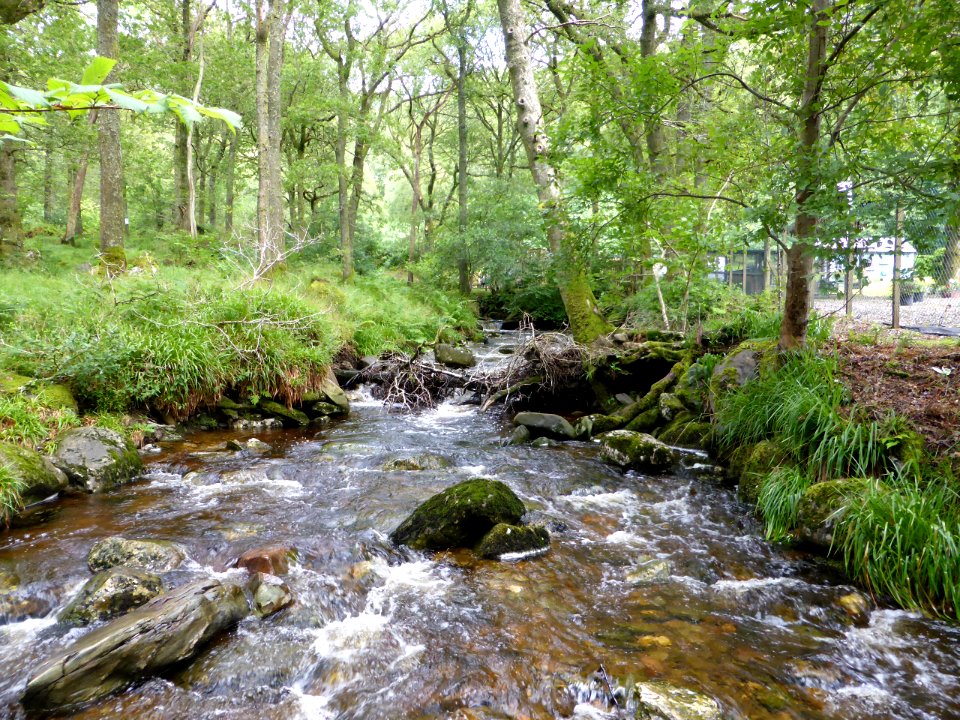 Balmaha-Inversnaid-18