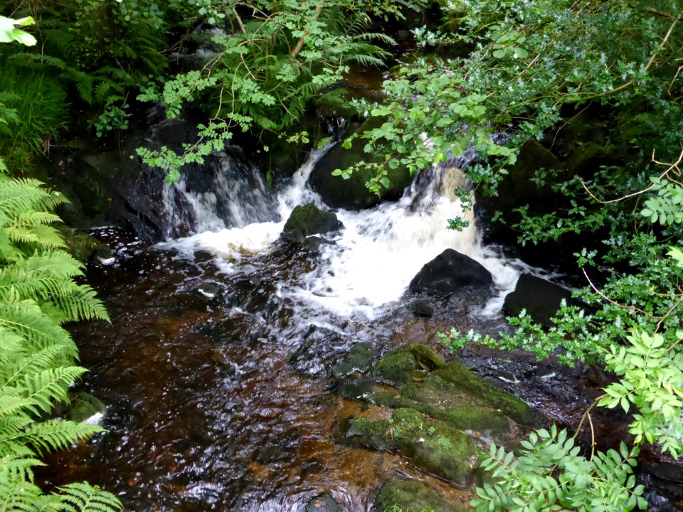 Balmaha-Inversnaid-3