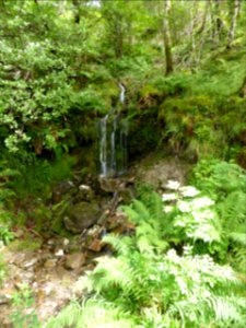 Balmaha-Inversnaid-20
