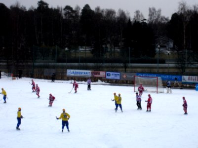 Bandyliiga Final Oulu 20140315 01