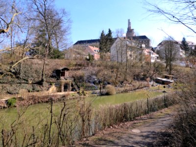 Bamberg, Michaelsberg, ehem Fischweiher, 2