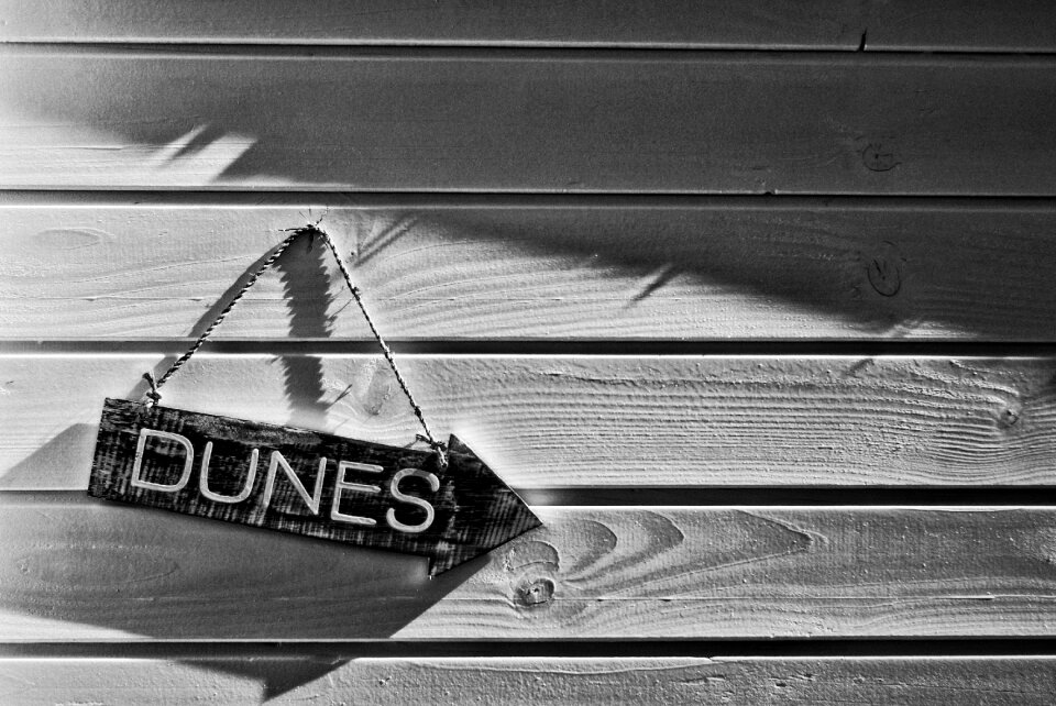 Summer holiday dunes